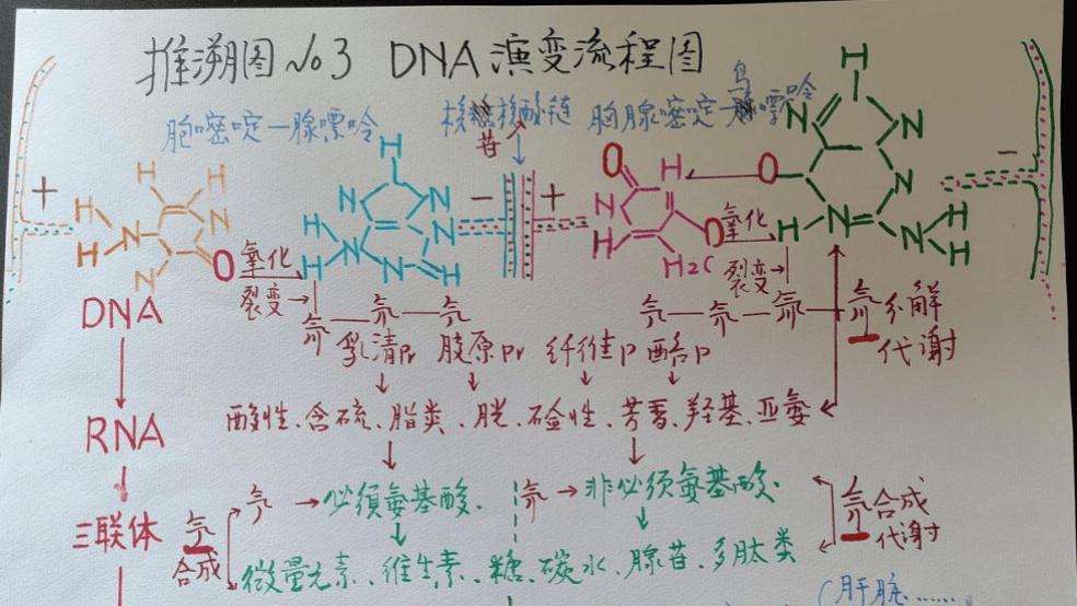 蛊毒索魂「迷梦解码」之降人间病魔（3）
