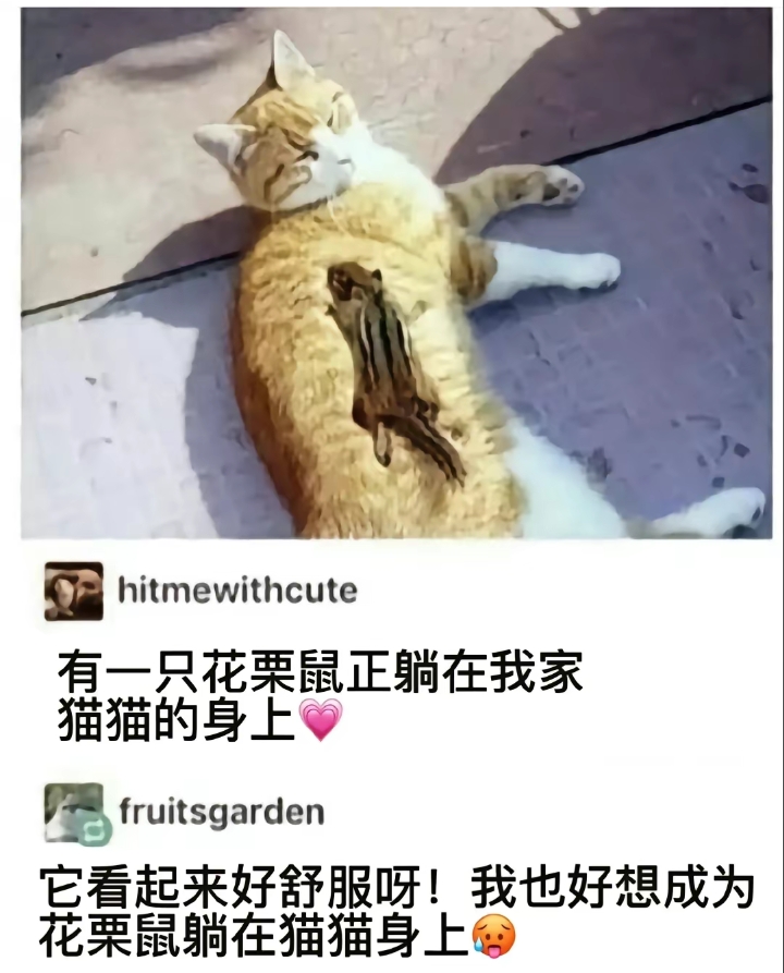 它看起来好舒服啊