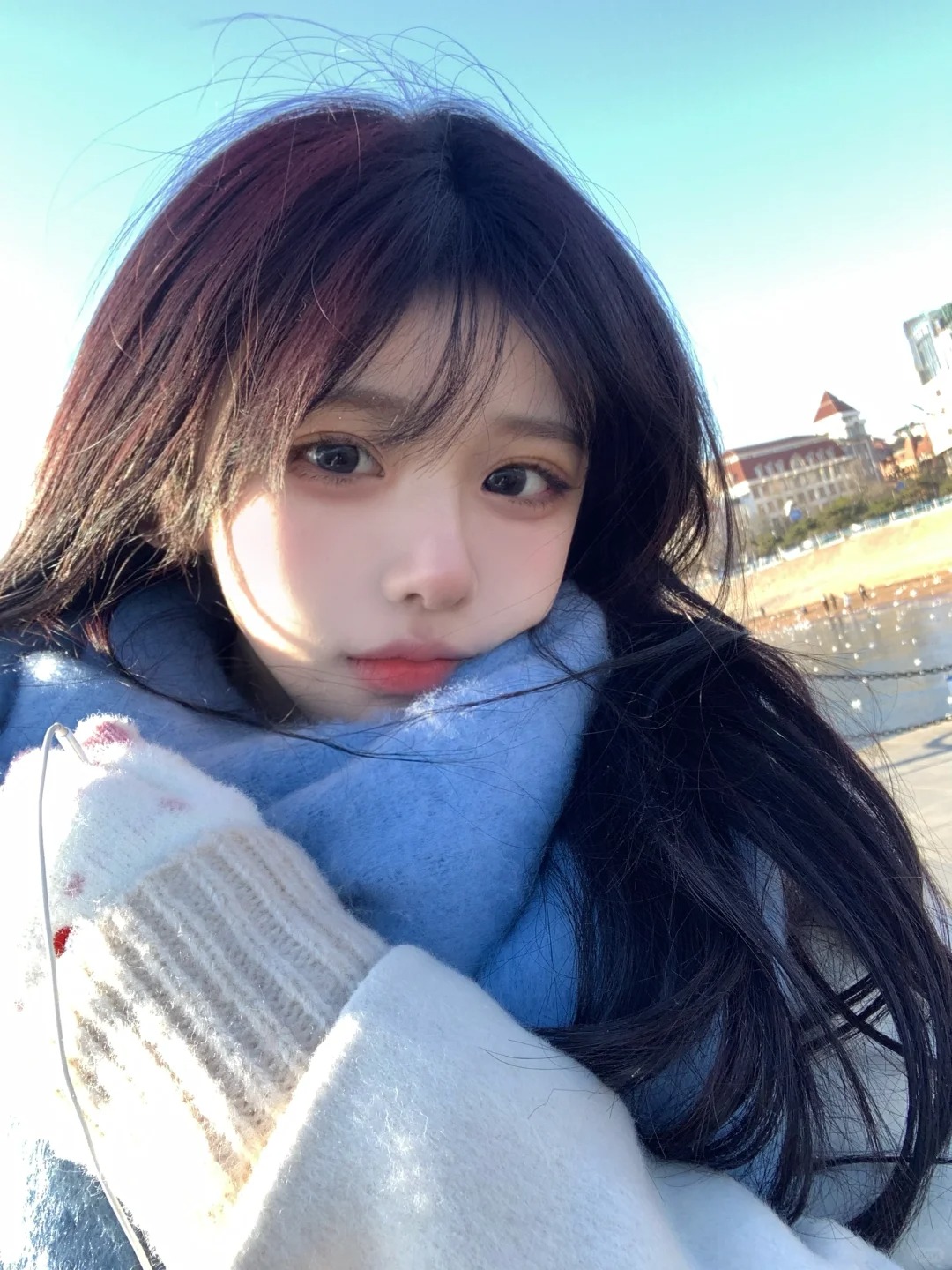 栈桥的海鸥🕊️
去看海鸥啦，青岛栈桥真的好美！