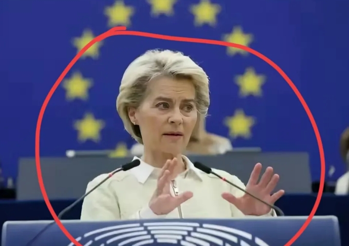 原来欧洲才是最大内鬼！现在才发现欧洲国家一面支持乌克兰打俄罗斯，一面使用俄罗斯天