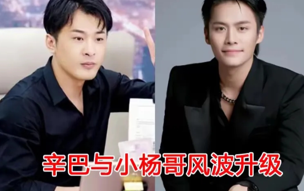辛巴与小杨哥风波升级，事情越来越复杂了。

从开始为准备中秋卖礼品，PK产品价格