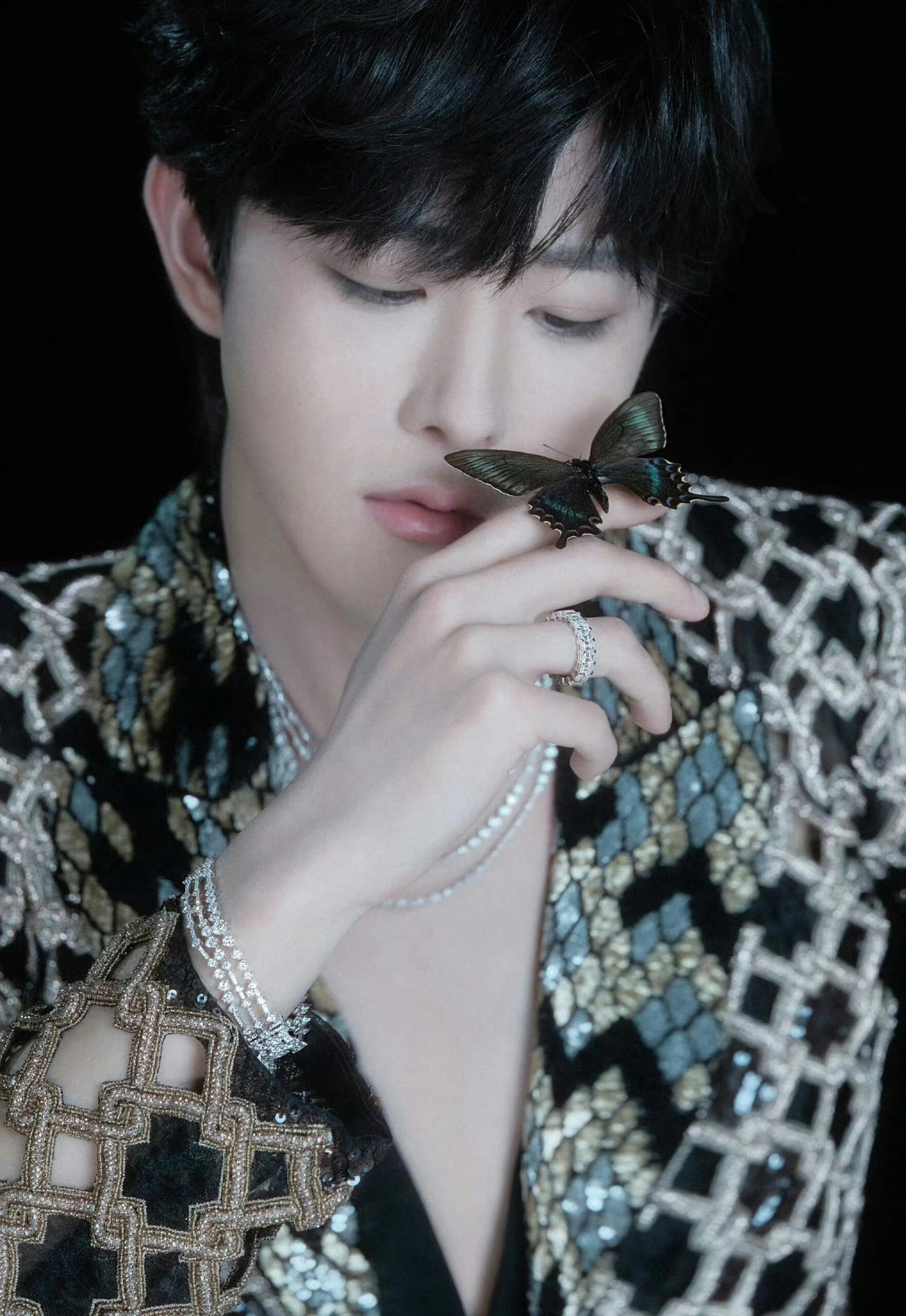 矜贵优雅田嘉瑞