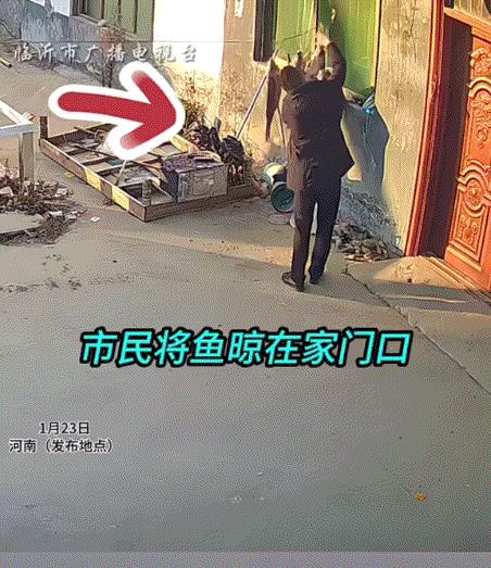 丢人丢大了！一开大奔的男子路过一户人家时，发现这户人家家门口晒了几条大鱼，随即男