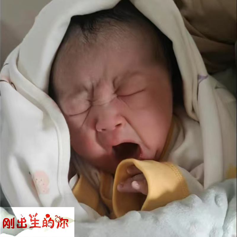 宝贝，你的每一次成长都让我感觉无比骄傲。愿你像阳光一样茁壮成长。