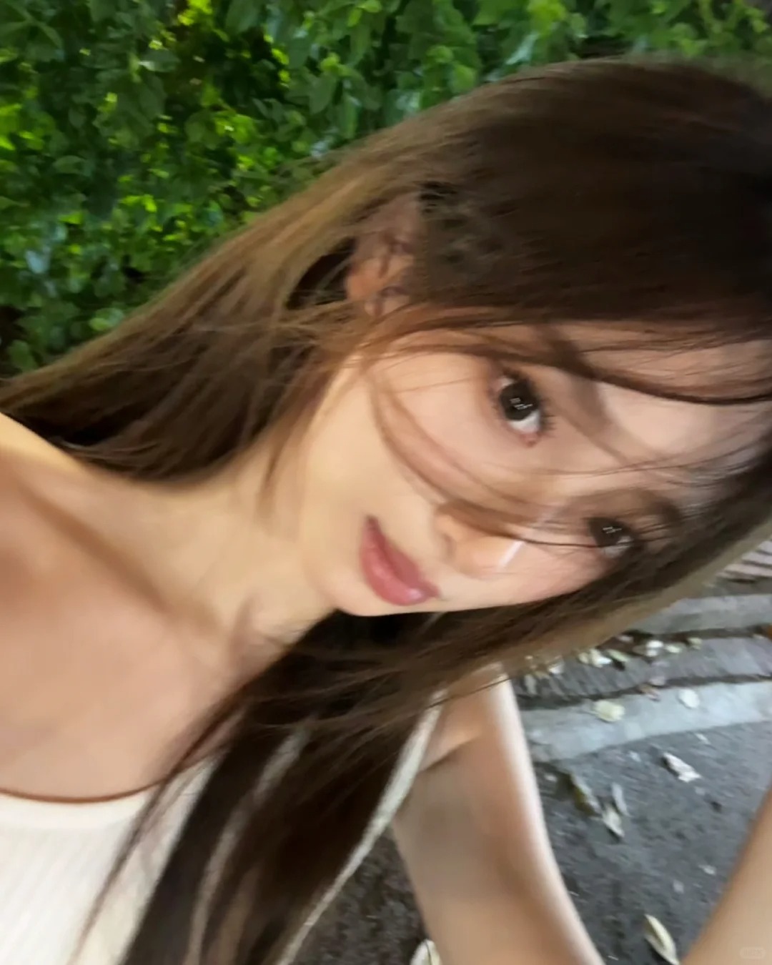 路过
版纳一日游