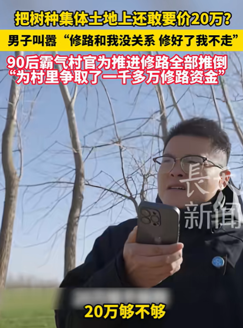 狮子大开口！江苏一90后村官争取到1000万资金给村里修路，却被集体土地上的大树