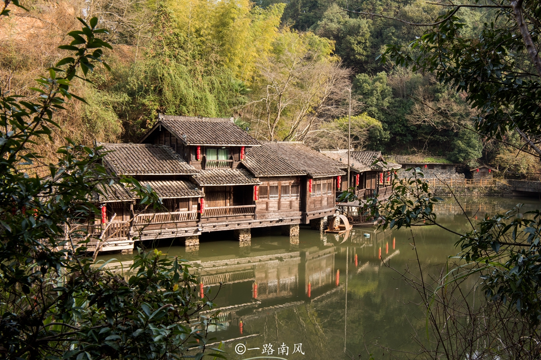 实拍龙岩无蚊村，周围林木茂盛，却没有蚊子，让人啧啧称奇