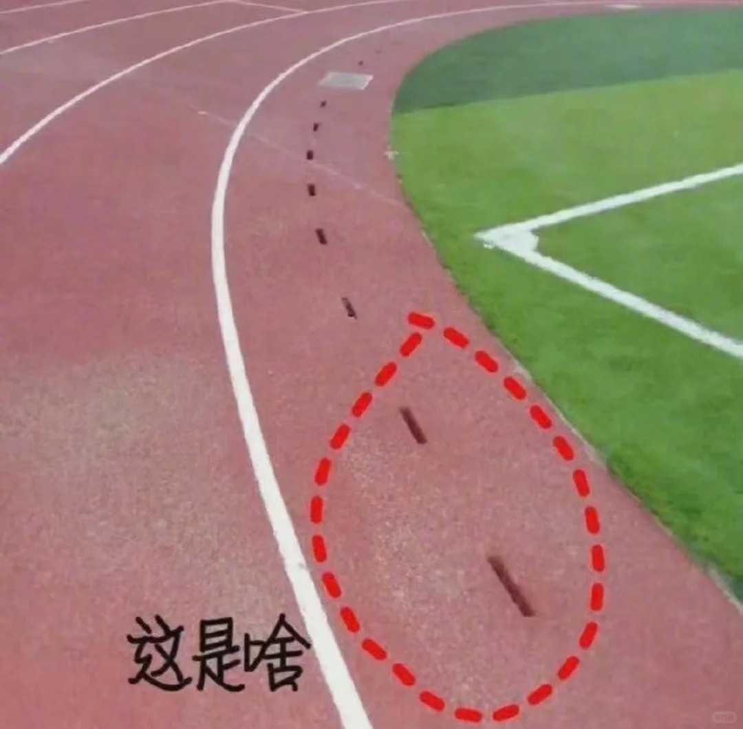 操场上的这个是啥？？
操场上的这个这个是啥？？
我也不知道他叫什么，你们都叫他什