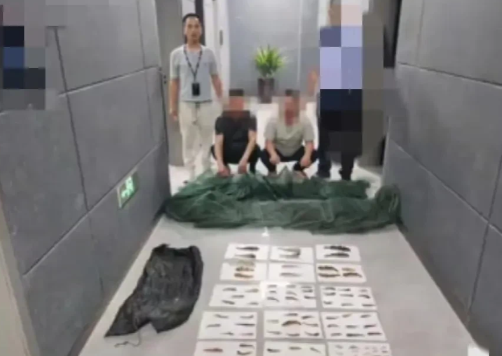 四川宜宾，俩男子在江里下了地笼，捉住103条小鱼，谁知被赶来的民警抓获，说他们非