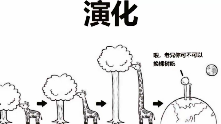 可不可以换棵树吃呢