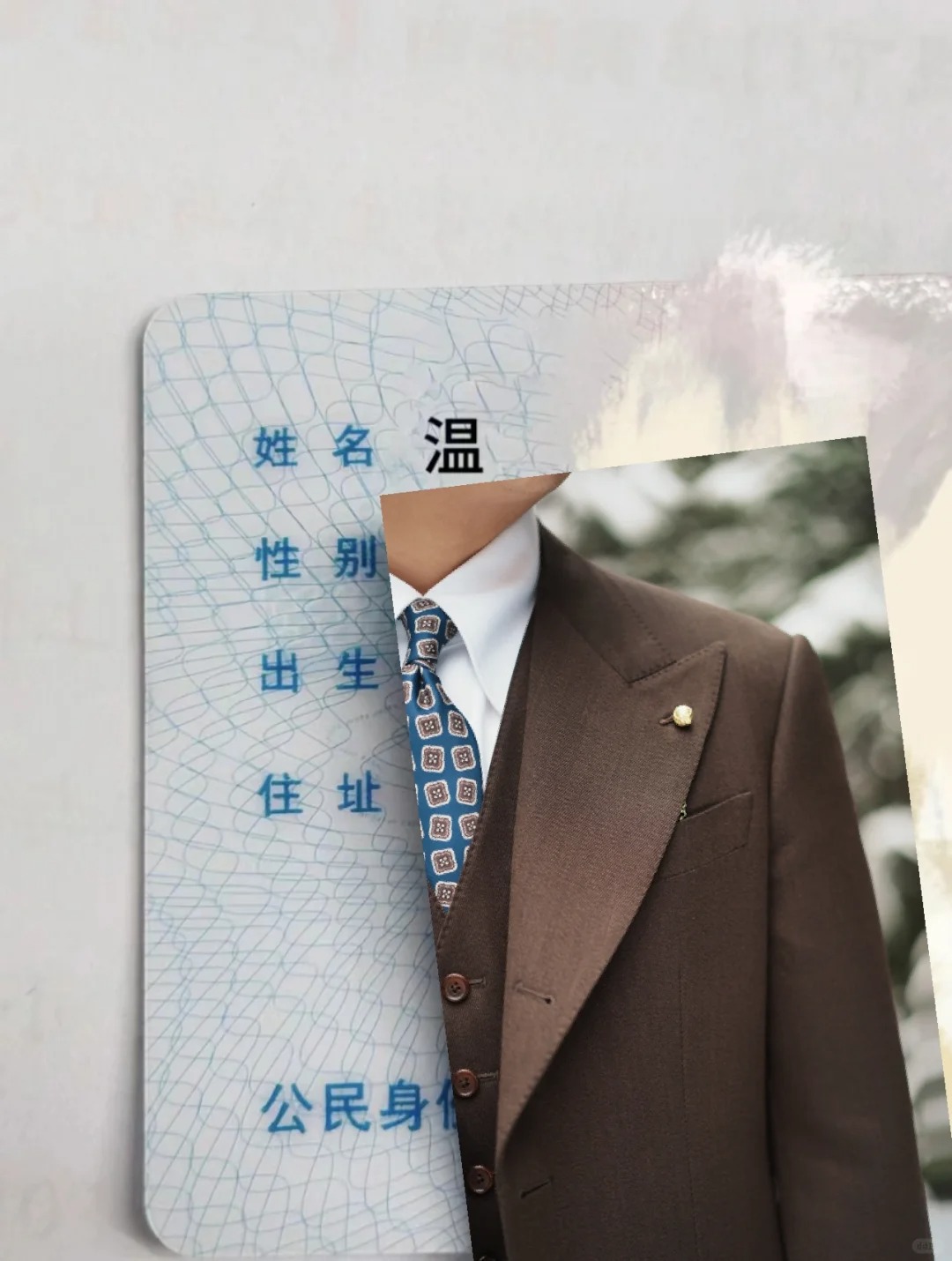 在成都姓温，给我取个爆🔥的名字吧
在四川，温温最近想卖西装
希望网友们帮我改个