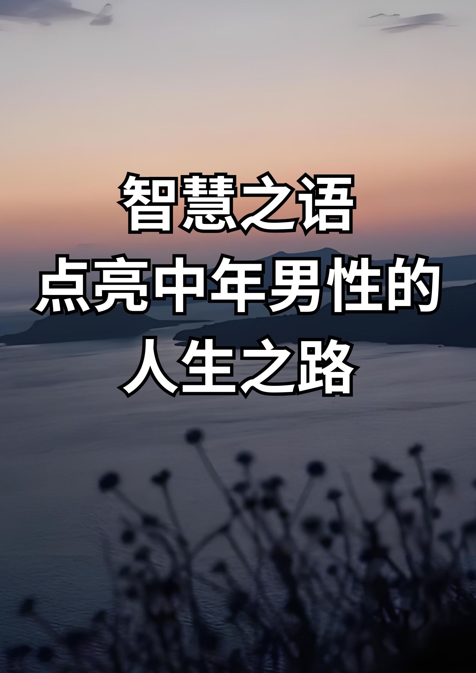 智慧之语，点亮中年男性的人生之路！