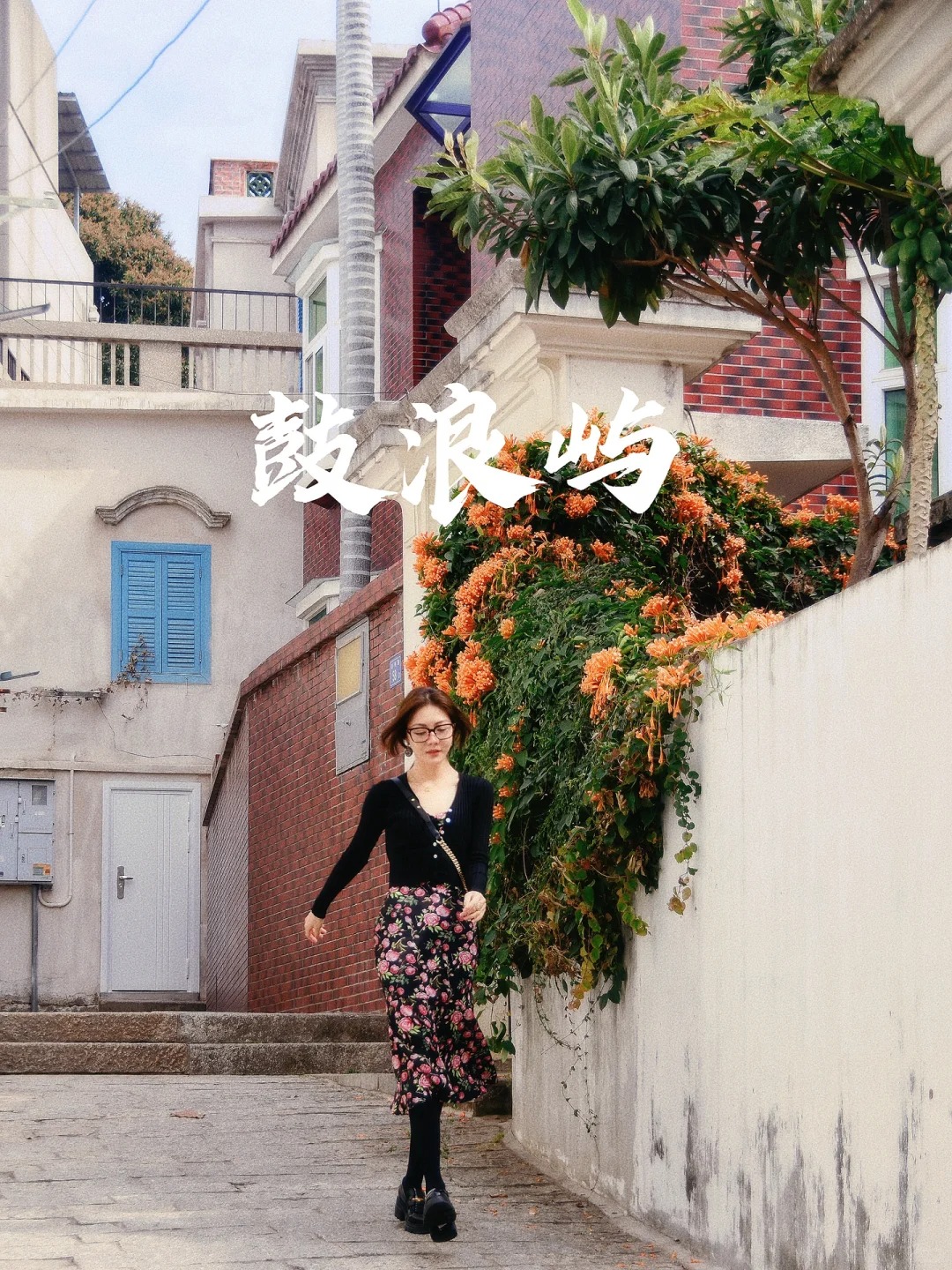 鼓浪屿
喜欢这座需要暴走的小岛