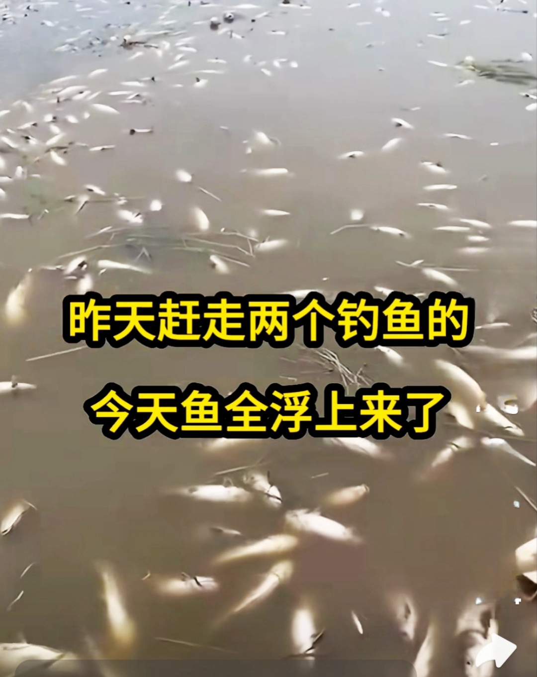 钓鱼人也不是好惹的，千万不要无端去驱赶！