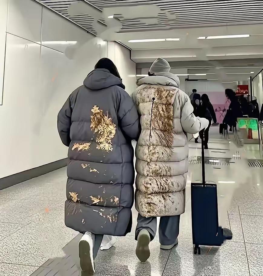 真的是谁都不服，就服巴黎世家。



这新款羽绒服，我第一眼以为谁家水管子崩