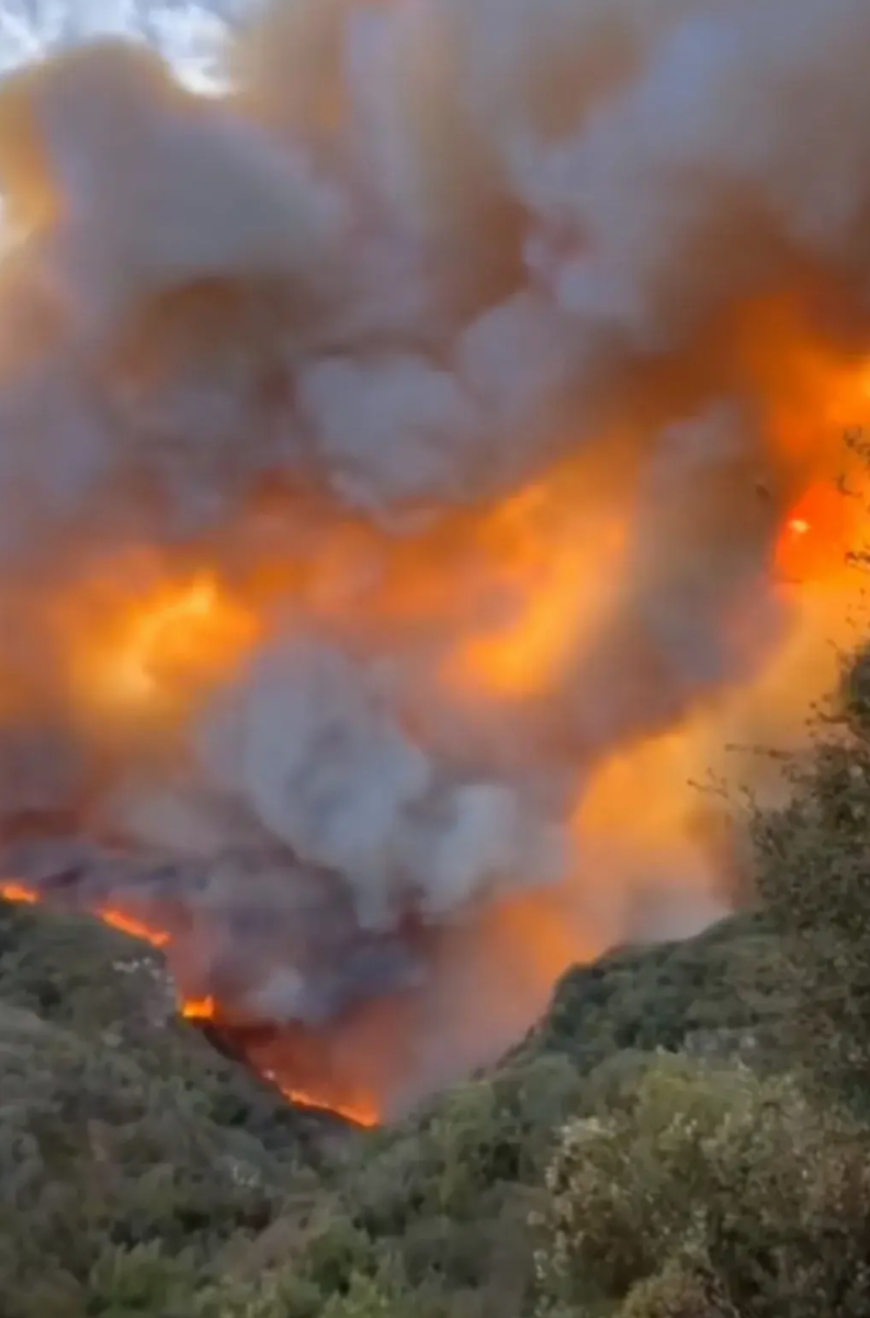 第一次看到火龙卷，好壮观。
但愿洛杉矶不要下雨，火灾已经很惨了，再下雨岂不是雪上