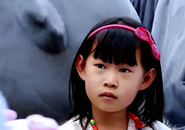 小沈阳的女儿沈佳润:曾因长相太丑被骂像猴,如今逆袭撞脸韩星(小沈阳女儿简介)-第7张图片-九妖电影 小沈阳的女儿沈佳润:曾因长相太丑被骂像猴,如今逆袭撞脸韩星(小沈阳女儿简介)-第7张图片-九妖电影