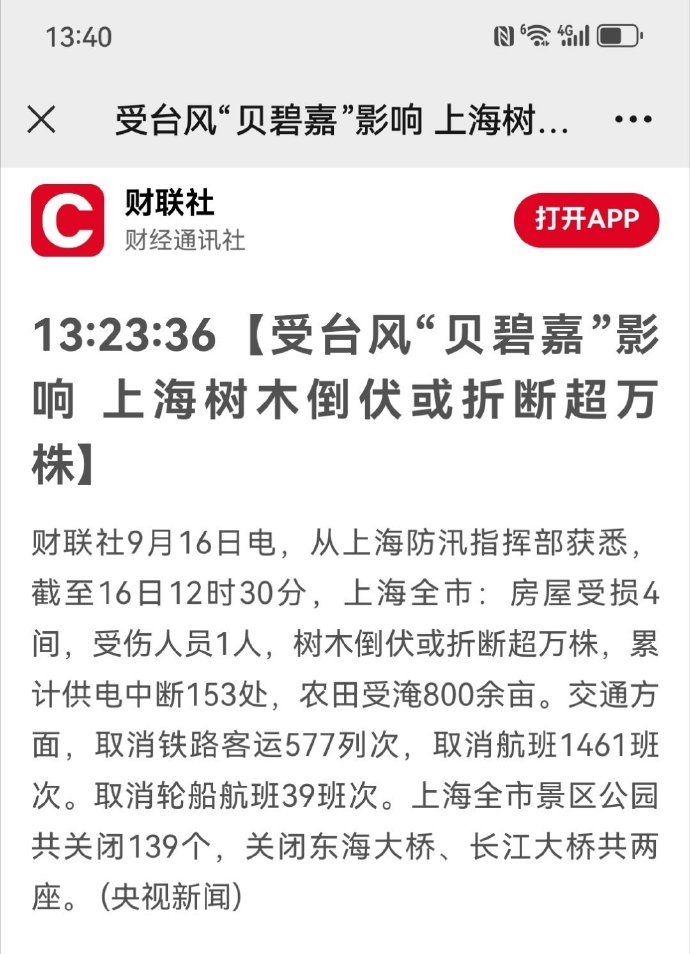 受台风影响 上海树木倒伏或折断超万株