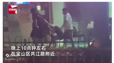 “救命啊！”近日，上海街头，一名女子深夜被4名男子抓住头发，拖拽前行。现场视频显