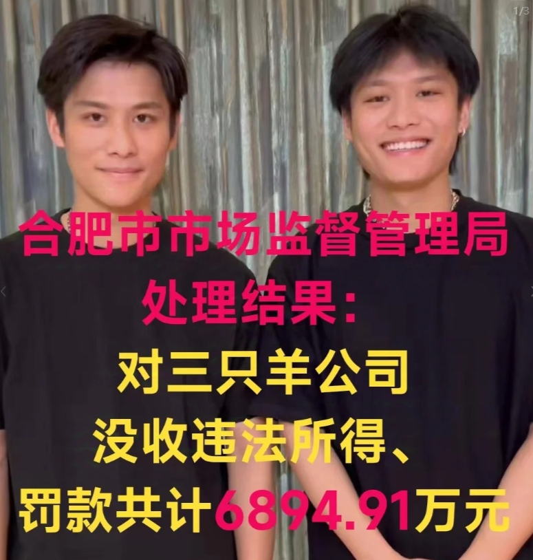 六千万对小杨哥来说是什么概念呢？辛巴当初曝光三只羊沫沫事件和承诺给三只羊用户赔一