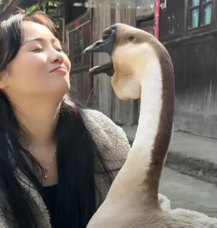 看的出来美女对这只鹅的尺寸相当满意了哈哈哈哈