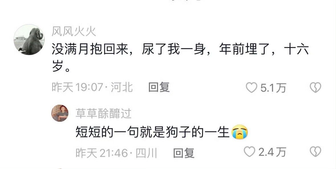 短短的一句就是狗狗的一生