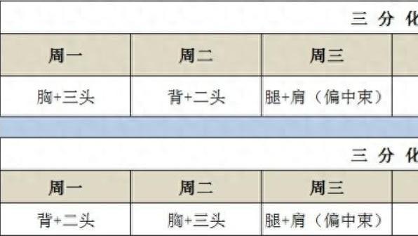 健身新手用三分化锻炼最好，训练周期你做对了吗？