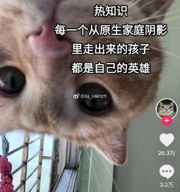 愿天下的小英雄们都能越过这道坎 ​