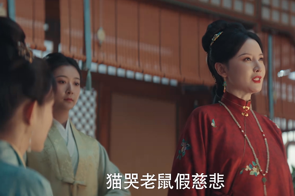王映雪做了两件蠢事，一件是嫁给窦世英，一件是陷害窦昭，最终导致了女儿窦明的悲剧。