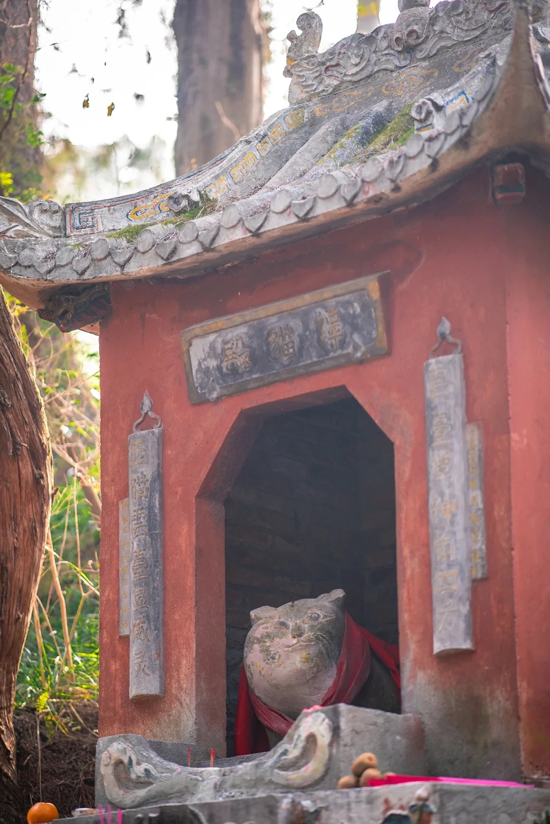 中国奇谭中的谭猫庙终于见到了！
这里是除了青城山外
四川第二大道观！
这里有一座