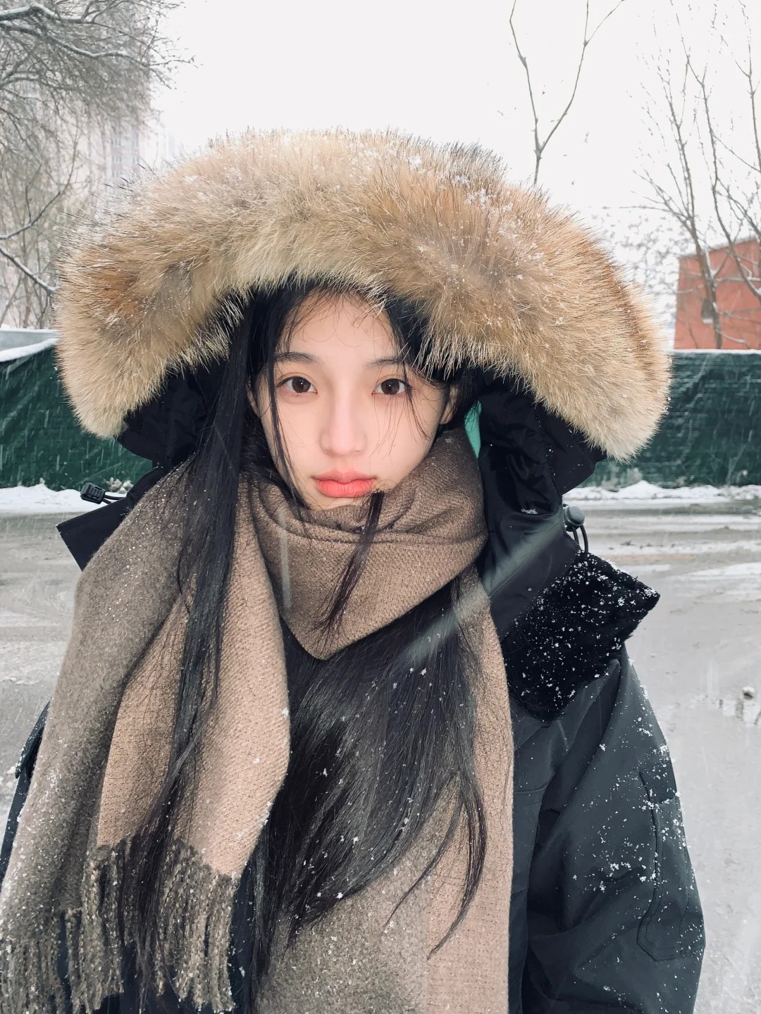 又一场雪
炒个冷饭翻相册的时候发现了漏网之鱼！！
刚好昨天北京又下雪啦！！很应景