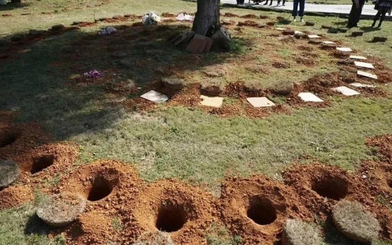 太惨了！大S将被“树葬”，或一块墓碑都没有！一代娱乐女王，死后搞得乱七八糟的，身