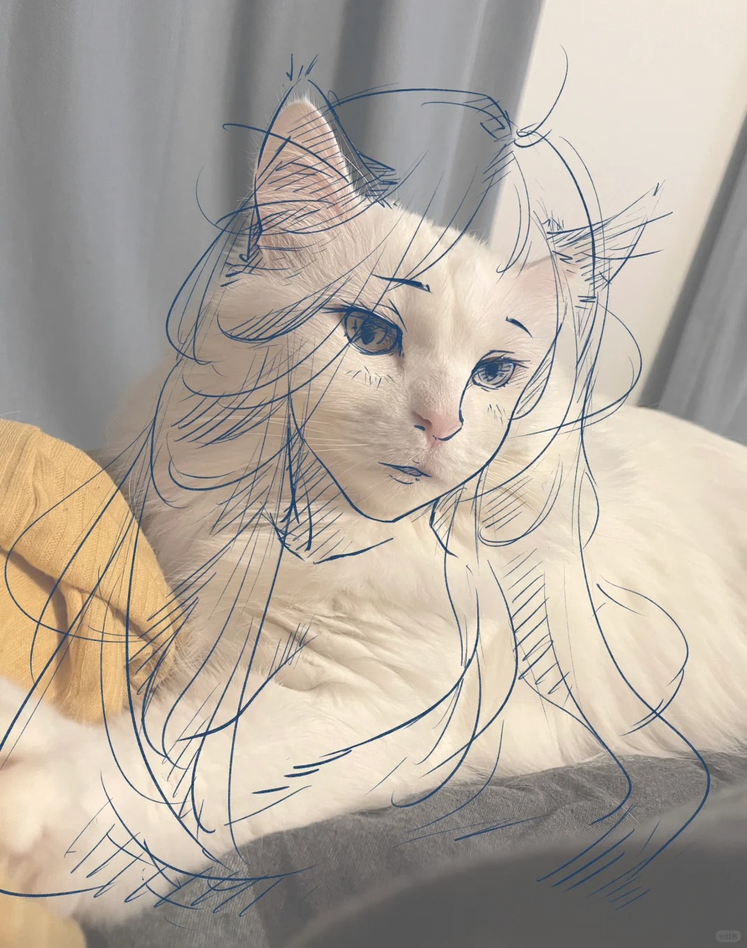 或者猫猫脸也可以是御姐🐱
白猫真的太御了！家里的孽子三号