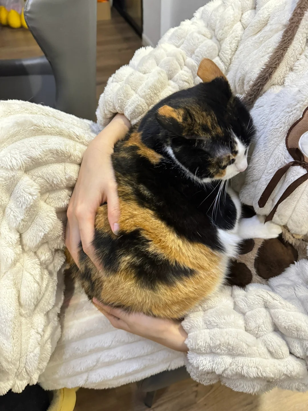 二娃看了网友的评论 emo中
救救小猫
小猫真不像天书奇谭那奶奶