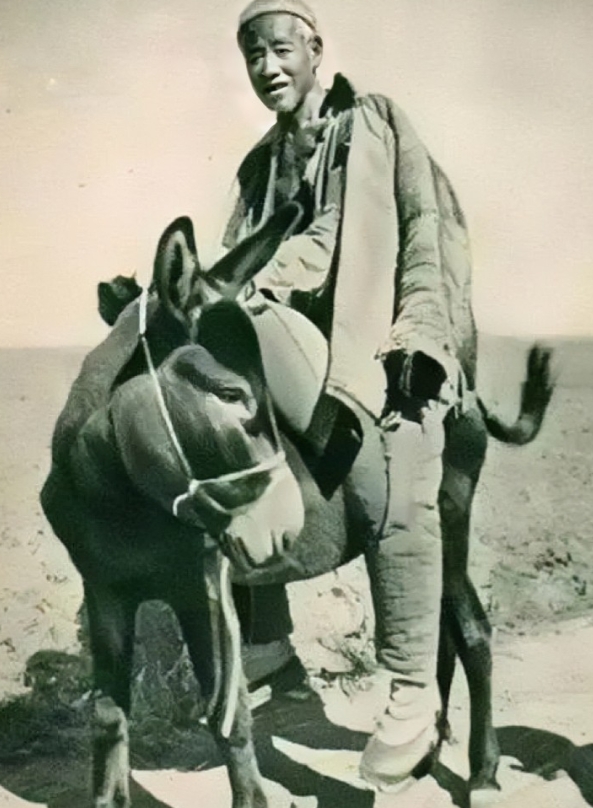 1945年，我军神枪手裴天来不慎被鬼子俘虏，陷入困境。裴天来家境贫寒，自幼随父亲