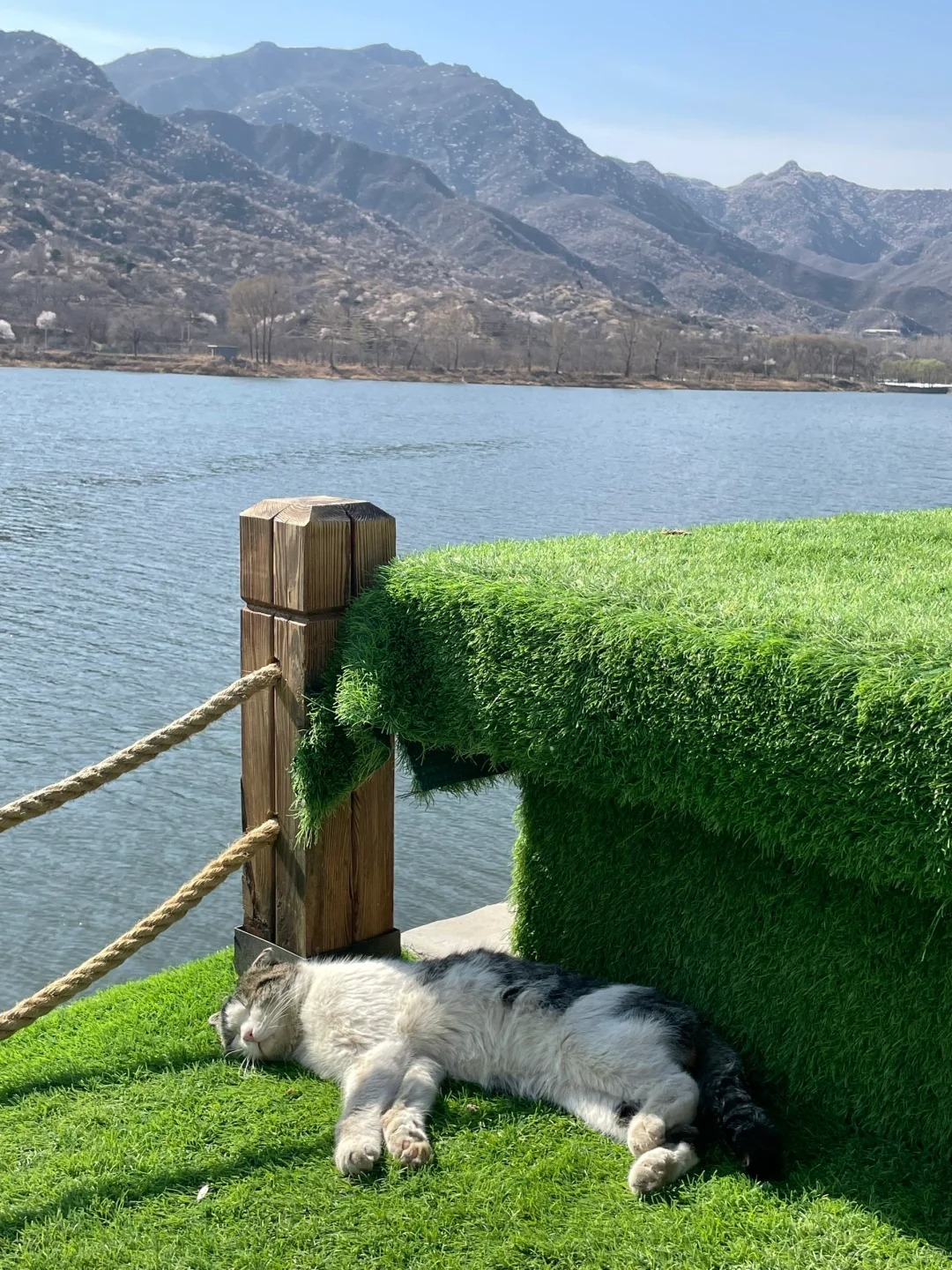 北京人的嘴真严呐……
怀柔的还有这么美的河岸咖啡！依山傍水，漫山粉黛，有种不在北