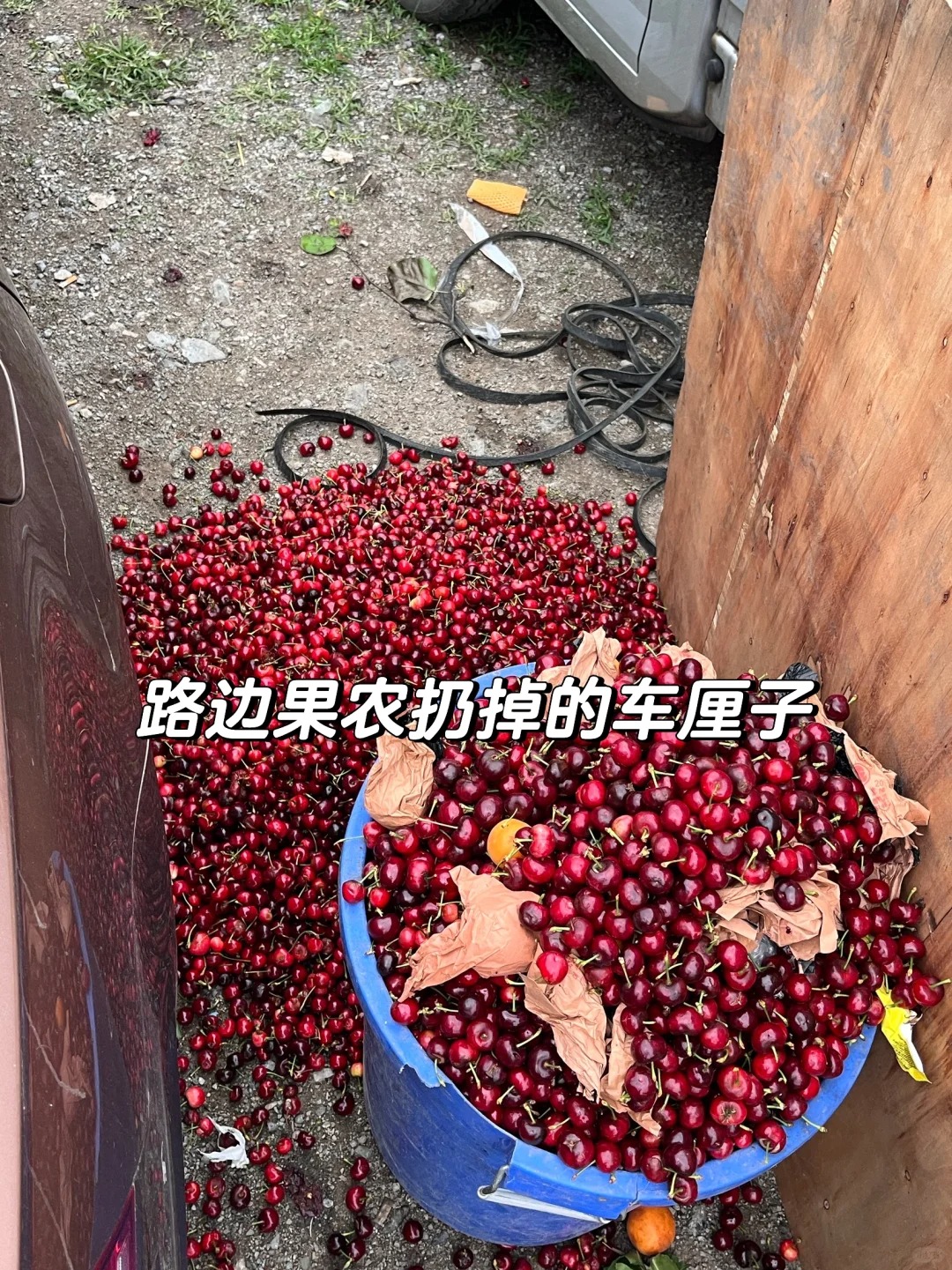 成都跑汉源买19一斤的黑珍珠车厘子，油费400
成都开车3个小时去了汉源摘车厘子