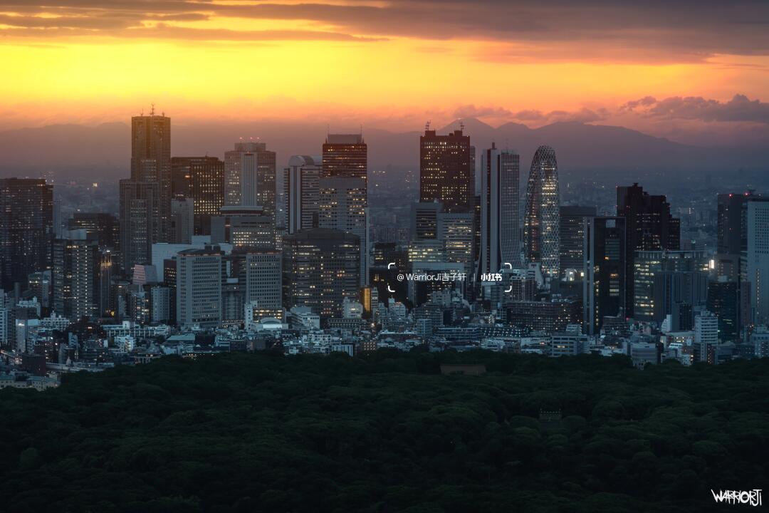 东京｜在这个景观平台看最美落日🌄