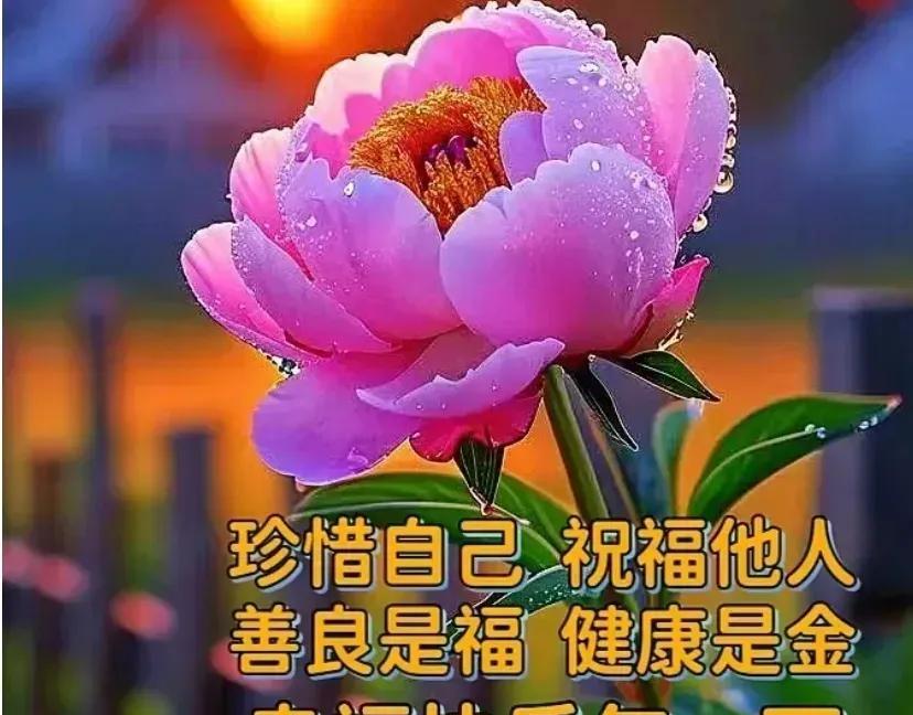花好，蜜蜂自来，人好，朋友自来，心情好，幸福自然会来，愿常行善举，万寿福疆！