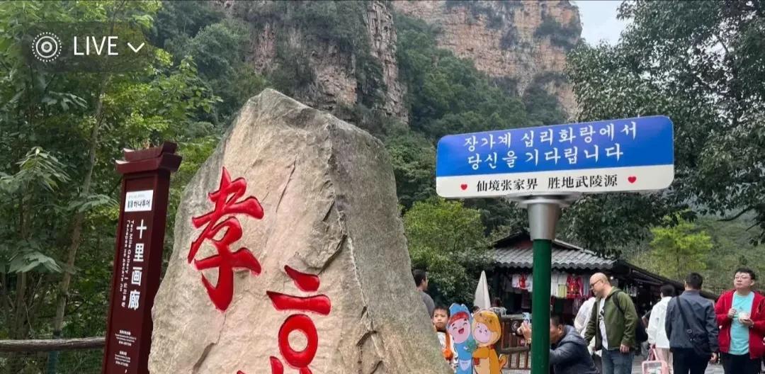 终于知道为什么韩国老年人扎堆去张家界了，没想到竟然是这个原因：
前几天去张家界玩