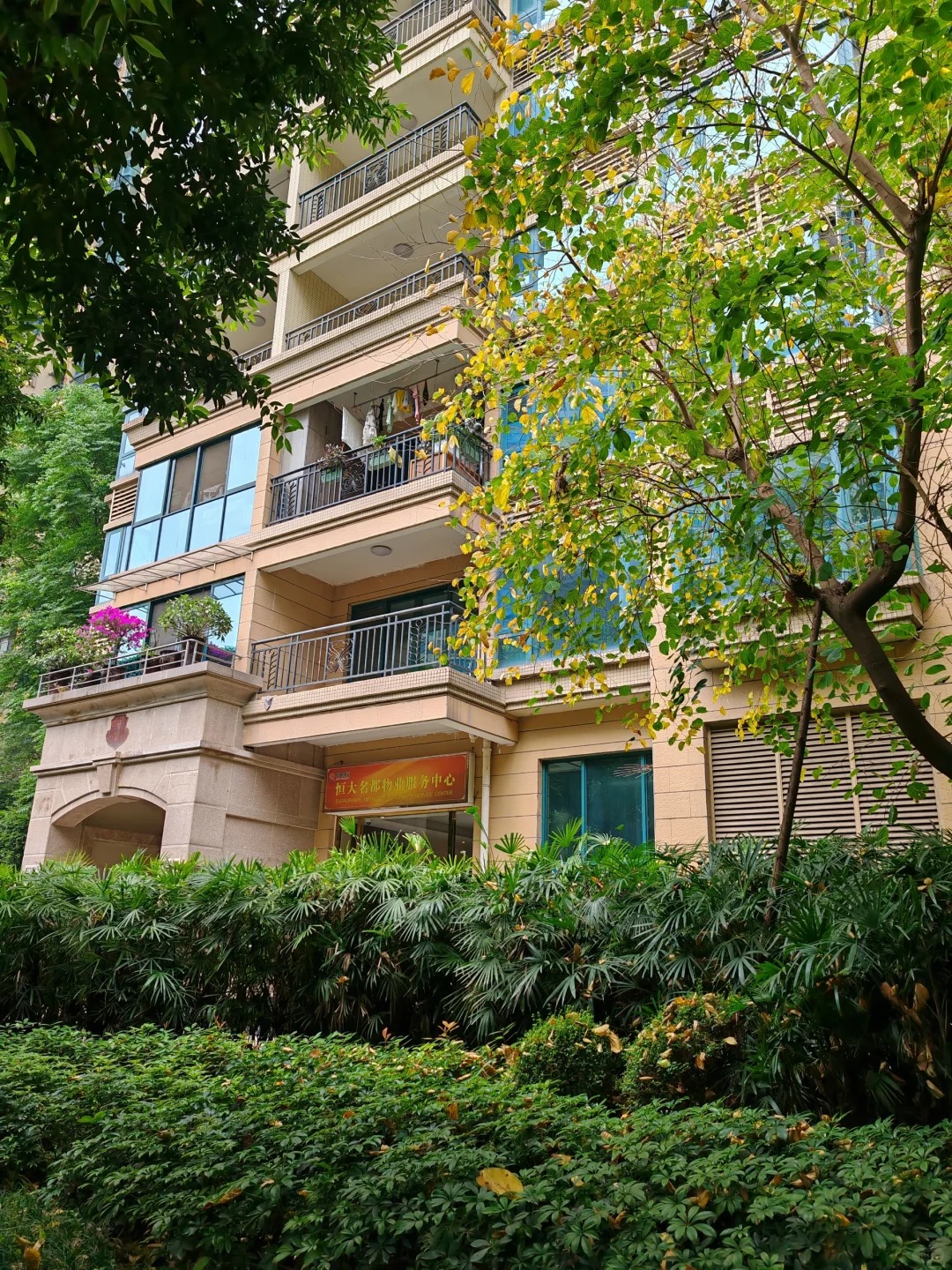 成都海昌路业主卖房，套二带书房
小区叫恒大名都，距离海昌路和五根松两个地铁口差不