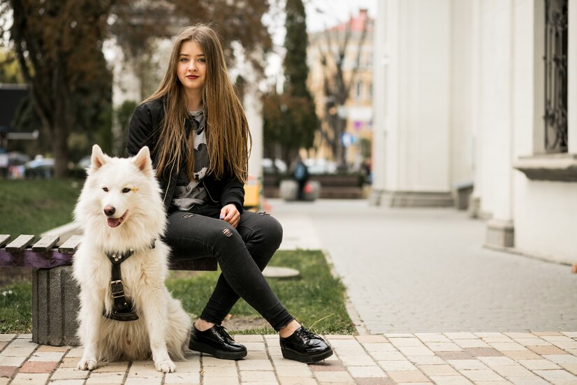 养狗是许多人生活中的一种乐趣，狗狗是忠诚的伙伴，总是给我们带来很多温暖和欢乐。然