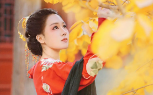 我是大荣国最得宠的公主，爱上了属国的质子。君臣不悦，他们不高兴，我心里却痛快极了
