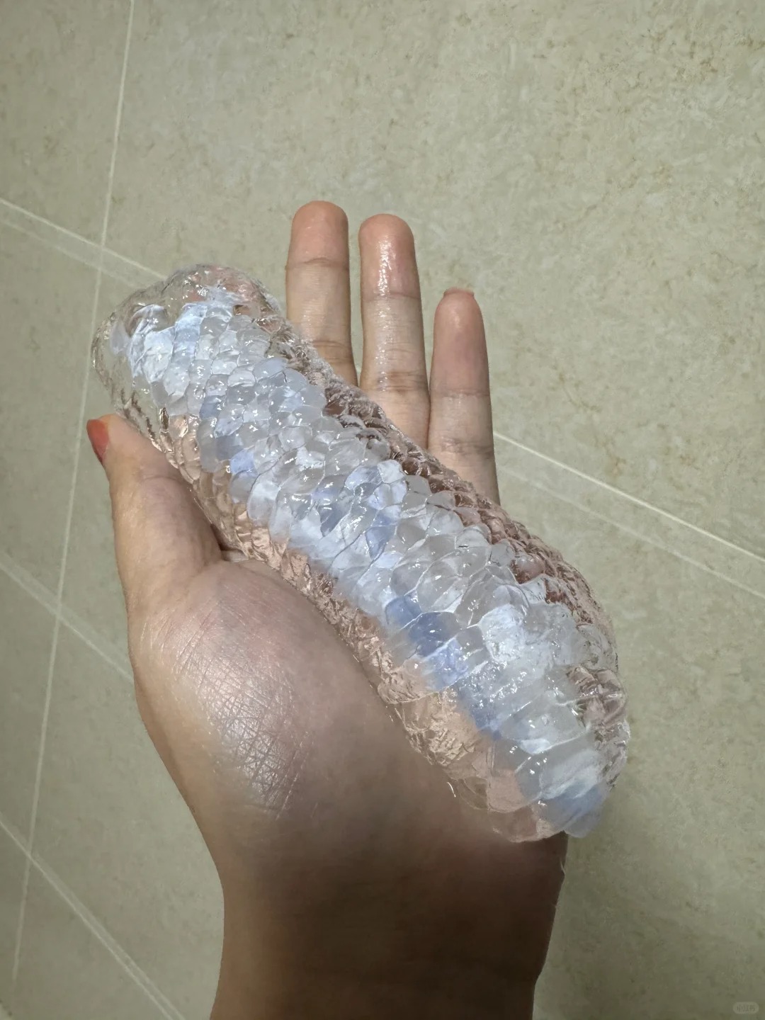 朋友送的北极冰蚕，该怎么喂养好呢