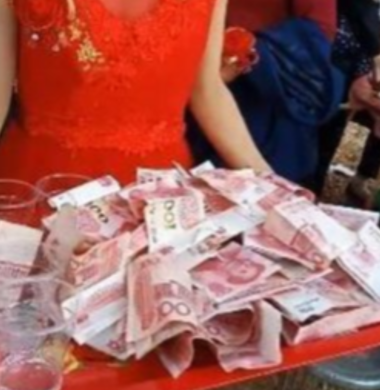 江苏，近四十岁的农民张伟，因渴望成家立业，通过媒人赵红霞的介绍，与一名离异女子李