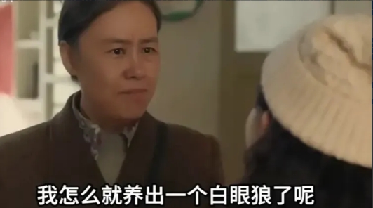 《六姊妹》迎来大结局，看完电视剧，至少让观众懂得有这四方面的道理。
一，做父母的