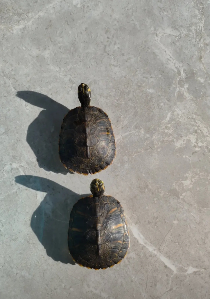 现在已经22点30了，老妈早已睡熟，老公还在外面喝酒。

老公是个酒蒙子，见酒就