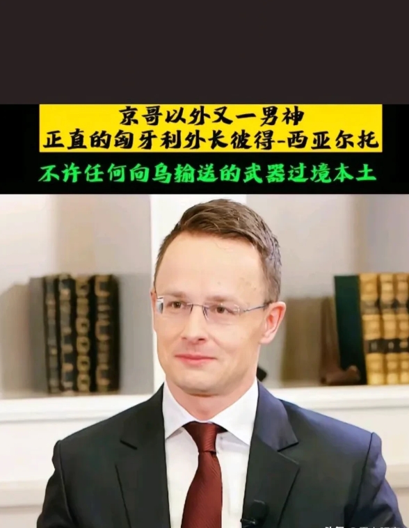 当地时间2月11日，匈牙利外长西雅尔多透露，乌克兰已向欧盟委员会作出关键承诺：不