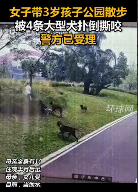 监控曝光！女子带3岁女儿逛公园，被4条不拴绳恶犬撕咬！女子为保护孩子，腿上被咬下