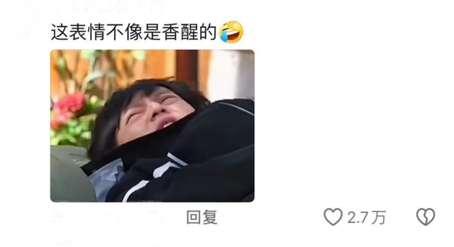 黄磊评论区终于敢说实话了全是受害者真相图太好笑了!(黄磊批评)-第19张图片-九妖电影 黄磊评论区终于敢说实话了全是受害者真相图太好笑了!(黄磊批评)-第19张图片-九妖电影
